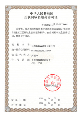 互聯(lián)網(wǎng)域名注冊(cè)服務(wù)的資質(zhì)與榮譽(yù)之路