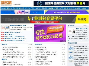 換個(gè)域名，竟如換棟別墅？互聯(lián)網(wǎng)域名注冊(cè)服務(wù)的價(jià)值與策略