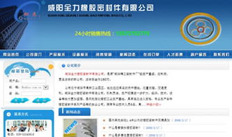 萬企互聯(lián) 一站式互聯(lián)網(wǎng)解決方案，助力企業(yè)數(shù)字化騰飛